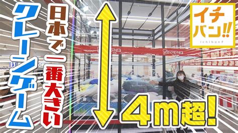 【イチバン】高さ4m超！日本最大のクレーンゲームが北海道に 大人もドはまりする魅力とは？ Youtube