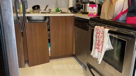 Sexy Bear Unpacks Groceries In Gay Underwear Thong Undress The Bear Clips4Sale