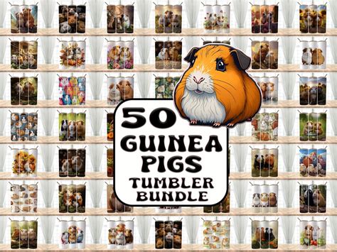 50 Cute Guinea Pigs Bundle Tumbler Wraps 20 Oz Skinny Tumbler