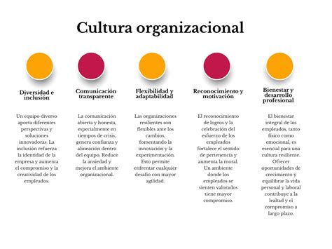 Construye una cultura organizacional que sea resiliente y flexible ...