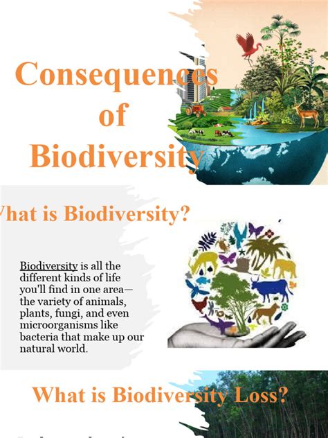 Consequences of Biodiversity Loss | PDF | Biodiversity | Agriculture