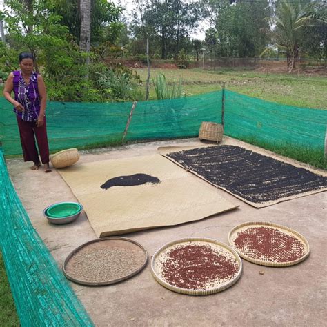 Poivre Rouge De Kampot Igp Cambodge Achat Recettes