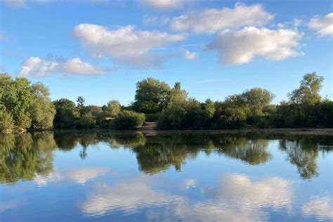 Suffolk Carp Fishing Lakes Near Me Discover The Best Fishing Spots