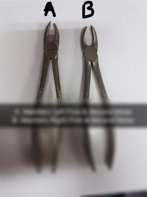 Solution Maxillary 1st And 2nd Molar Forceps Studypool