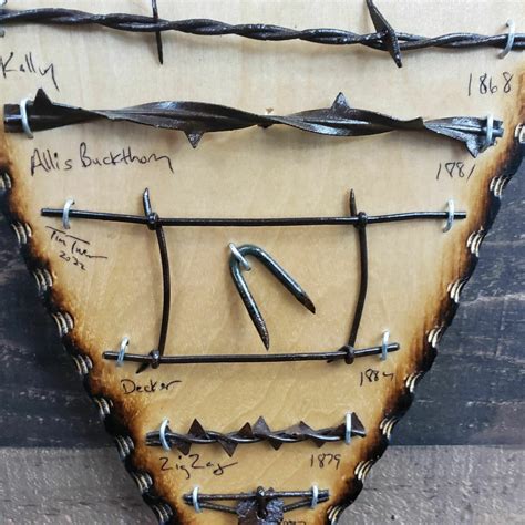 Antique Barbed Wire Display Authentic Barbwire Collection Etsy