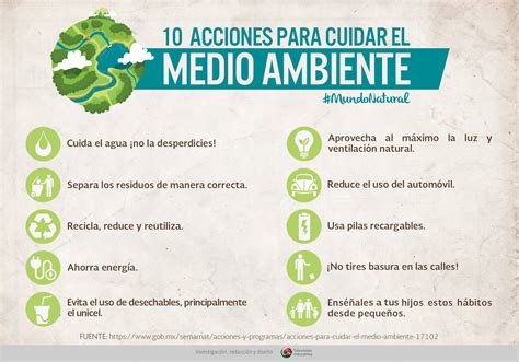 Cuidado Del Medio Ambiente Puntos Mas Importantes Para Contribuir En El Cuidado Del Medio