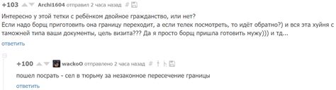 Трудности пересечения границы | Пикабу