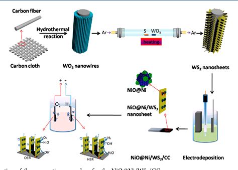 Figure 1 From When NiO Ni Meets WS2 Nanosheet Array A Highly Efficient