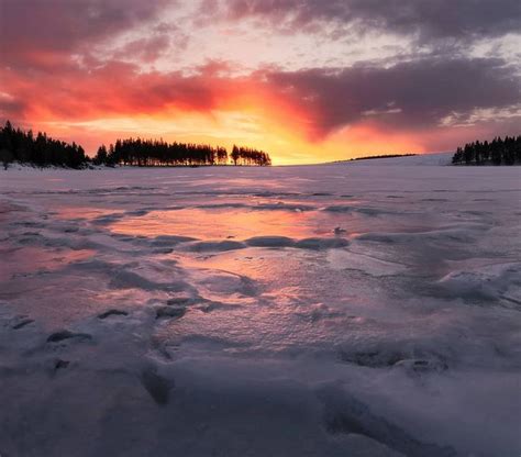 The Sun Is Setting Over An Icy Lake With Snow And Trees In The Foreground