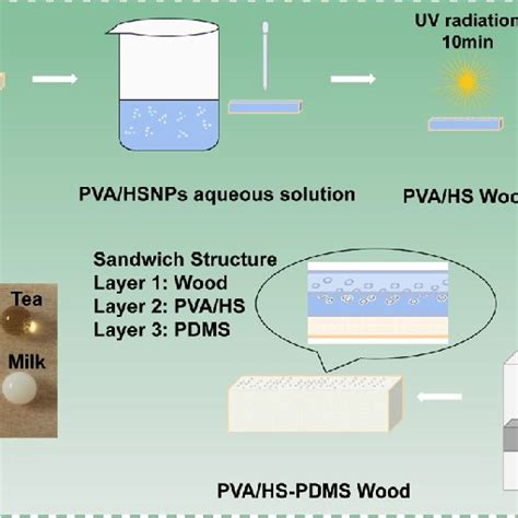 Schematic Illustration For The Fabrication Of Superhydrophobic Coating