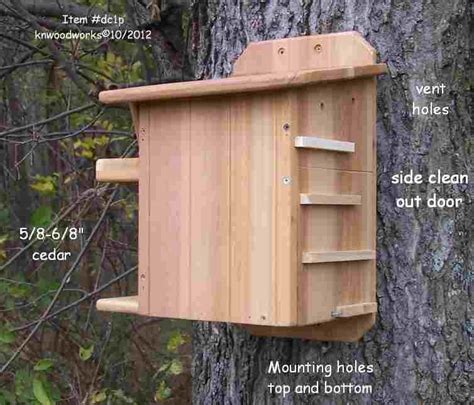 Squirrel Nest Boxes Houses Feeders And Squirrel Facts Squirrel Feeder