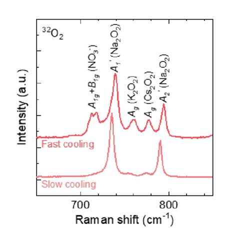 Figure S11 The Raman Spectra Of Nisalts Electrodes 85 In Weight