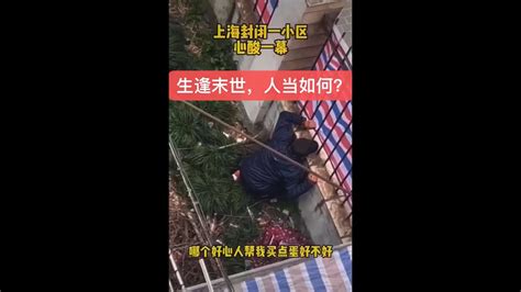 防疫封城怪现状：少女千里追葱，老汉跪地求蛋，郊外蔬菜腐弃如山！生逢末世，人当如何？ Youtube