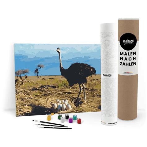 Malen Nach Zahlen Tiere And Tiermotive