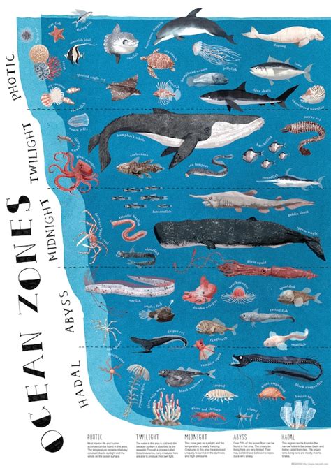 Save The Ocean Worksheets Library