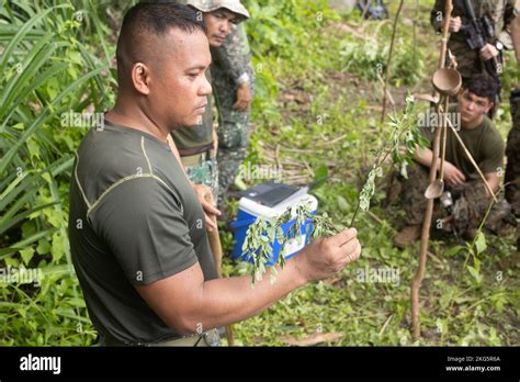 Une Marine De Reconnaissance Philippine Enseigne Aux Marines Des Tats