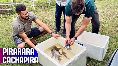 Os Peixes Da Piscina Foram Embora O Que Aconteceu Youtube