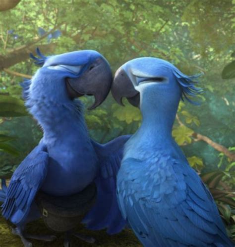 The Blue Spixs Macaw Parrot Seen In The Movie ‘rio Is Now Extinct