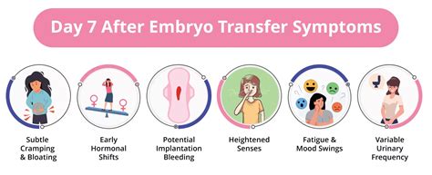 7 Days After Embryo Transfer Symptoms Birla Fertility IVF