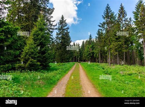 Hike To The High Moor Near Oberhof In The Thuringian Forest Thuringia