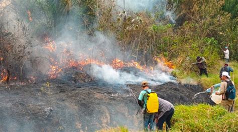 Bolivia recibirá a bomberos forestales venezolanos para combatir