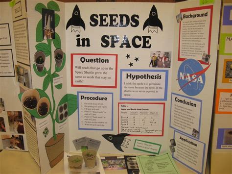 95 best images about Science Projects Middle School on Pinterest ...