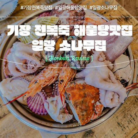 기장전복죽 싱싱한 해물탕 Feat 일광 맛집 소나무집 네이버 블로그