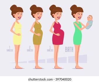 590 Pregnancy stages cartoon Images, Stock Photos & Vectors | Shutterstock