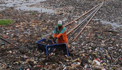 Pembersihan Lautan Sampah Di Pesisir Marunda Kepu Foto Liputan6