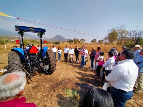 Entrega De Apoyos A Productores De Ma Ces Nativos Representaci N