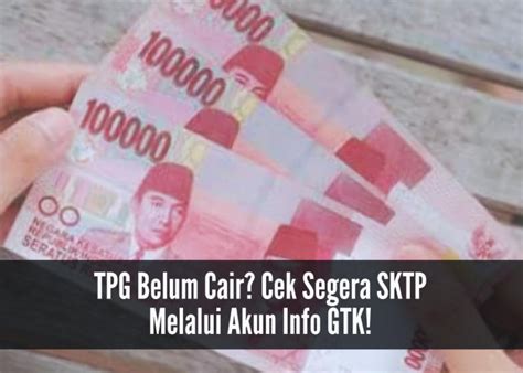 Guru Wajib Tahu Cara Mengecek Info Gtk Lebih Mudah Akses Di Info