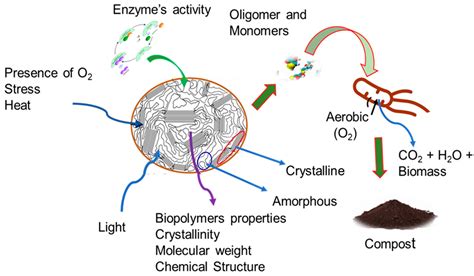 Catalysts Free Full Text Biodegradation Of Different Types Of