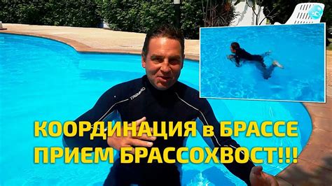 Техника плавания брассом - упражнение Брасохвост - YouTube