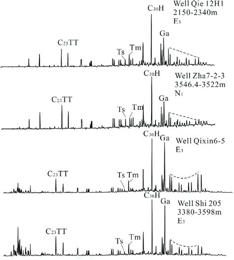 Respective Mz 191 Mass Chromatogram Showing The Distribution Of Download Scientific Diagram