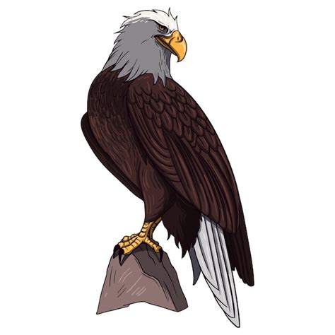 Premium Vector Eagle Colorful Vector