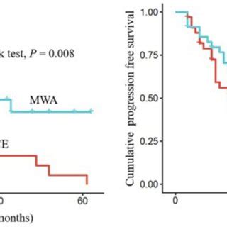 Comparison Of The Progression Free Survival Of HCC Patients Between The