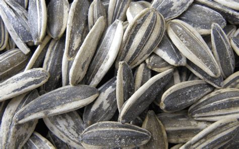 Sunflower Seeds Flavors List Vote For Your Favorite Deshelled