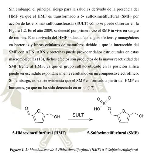 Cuantificaci N De Hidroximetilfurfural Hmf Por Cromatograf A L Quida