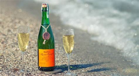 Шампанское Новый свет: отзывы, особенности, производство