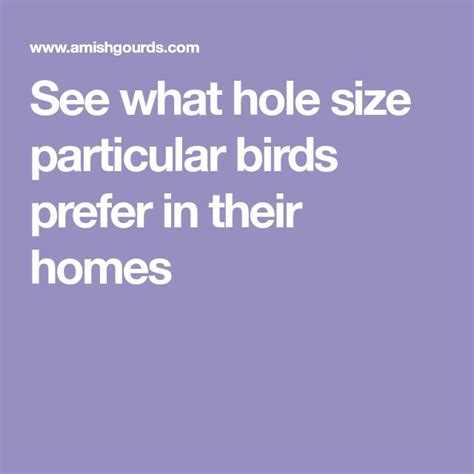 Birdhouse Hole Size Chart Amish Gourds Bird Houses Unique Bird Houses Bird House Kits