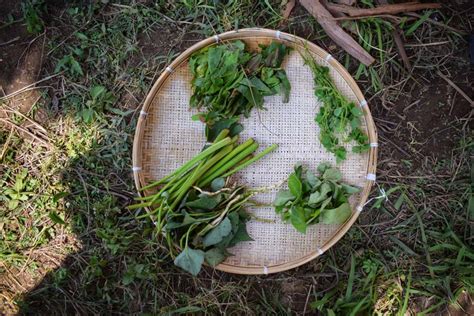 A taste of Authentic Bodo Cuisine at Manas National Park, Assam ...