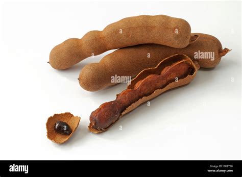 Tamarind Pods White Background High Resolution Stock Photography and ...