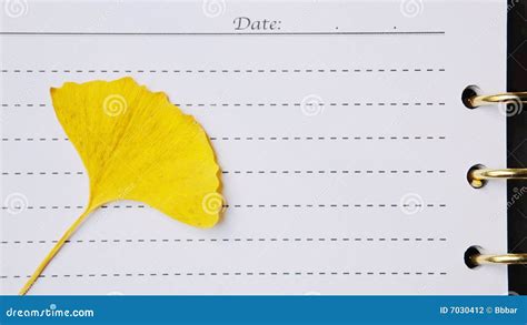 loose leaf stock photo image  writing golden book