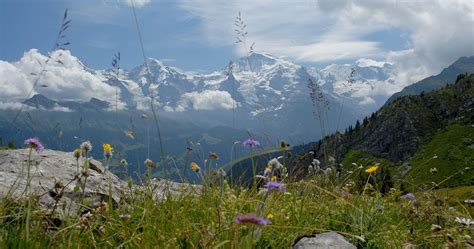 Self-Guided Berner Oberland Hiking Tour | Ryder-Walker