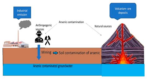 Molecules Free Full Text Biotechnology Advances In Bioremediation