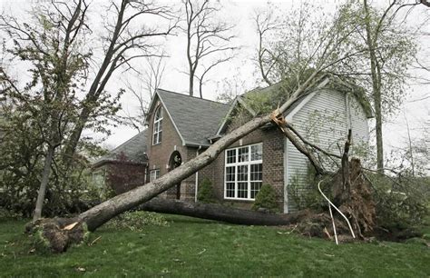 How To Clean Your Yard After A Hurricane Metrogreenscape