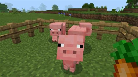 Hoe Varkens Te Fokken En Wat Eten Varkens In Minecraft Moyens I O