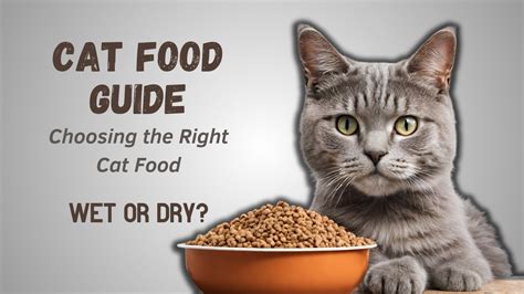 Choosing The Perfect Cat Food Guide To Feline Nutrition And Health