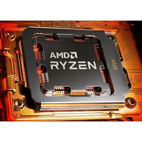 Processor AMD Ryzen 5 7600X tray AM5 buy online