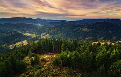 Naturpark Schwarzwald Mitte Nord Natur Und Genuss Erleben Themen